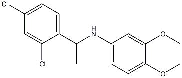 N-[1-(2,4-dichlorophenyl)ethyl]-3,4-dimethoxyaniline Struktur