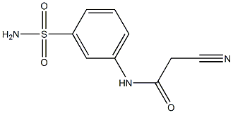 N-[3-(aminosulfonyl)phenyl]-2-cyanoacetamide Struktur