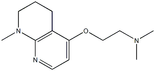 1,2,3,4-Tetrahydro-5-[2-(dimethylamino)ethoxy]-1-methyl-1,8-naphthyridine Struktur