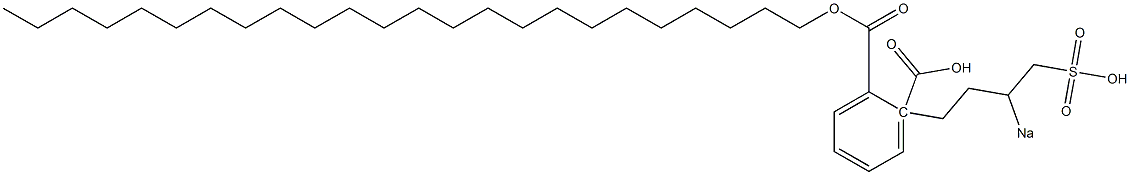 Phthalic acid 1-tetracosyl 2-(3-sodiosulfobutyl) ester Struktur