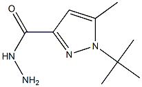 1-tert-Butyl-5-methyl-1H-pyrazole-3-carbohydrazide 97% Struktur