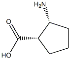 (1S,2R)-2-amino-cyclopentanecarboxylic acid Struktur