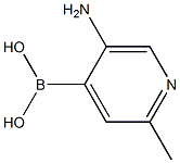 2-METHYL-5-AMINOPYRIDINE-4-BORONIC ACID Struktur