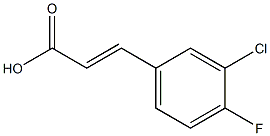 (E)-3-(3-chloro-4-fluorophenyl)acrylic acid Struktur