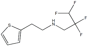 (2,2,3,3-tetrafluoropropyl)[2-(thiophen-2-yl)ethyl]amine Struktur