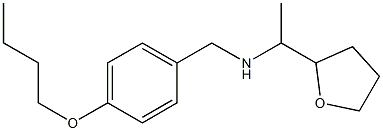 [(4-butoxyphenyl)methyl][1-(oxolan-2-yl)ethyl]amine Struktur