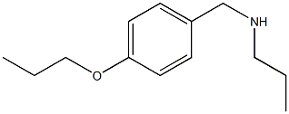 [(4-propoxyphenyl)methyl](propyl)amine Struktur