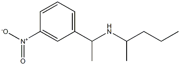 [1-(3-nitrophenyl)ethyl](pentan-2-yl)amine Struktur