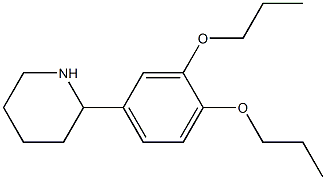 2-(3,4-dipropoxyphenyl)piperidine Struktur