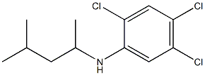 2,4,5-trichloro-N-(4-methylpentan-2-yl)aniline Struktur