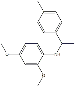 2,4-dimethoxy-N-[1-(4-methylphenyl)ethyl]aniline Struktur