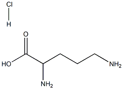 2,5-diaminopentanoic acid hydrochloride Struktur