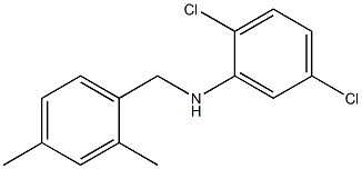 2,5-dichloro-N-[(2,4-dimethylphenyl)methyl]aniline Struktur