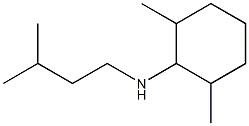 2,6-dimethyl-N-(3-methylbutyl)cyclohexan-1-amine Struktur