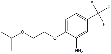 2-[2-(propan-2-yloxy)ethoxy]-5-(trifluoromethyl)aniline Struktur