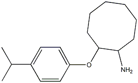 2-[4-(propan-2-yl)phenoxy]cyclooctan-1-amine Struktur