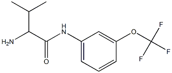 2-amino-3-methyl-N-[3-(trifluoromethoxy)phenyl]butanamide Struktur