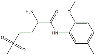 2-amino-4-methanesulfonyl-N-(2-methoxy-5-methylphenyl)butanamide Struktur