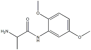 2-amino-N-(2,5-dimethoxyphenyl)propanamide Struktur