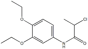 2-chloro-N-(3,4-diethoxyphenyl)propanamide Struktur