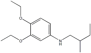 3,4-diethoxy-N-(2-methylbutyl)aniline Struktur