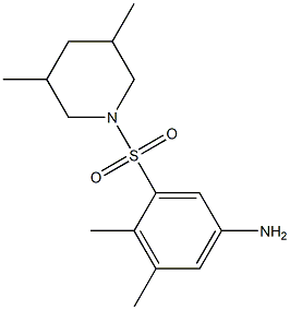 3-[(3,5-dimethylpiperidine-1-)sulfonyl]-4,5-dimethylaniline Struktur