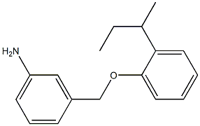 3-[2-(butan-2-yl)phenoxymethyl]aniline Struktur