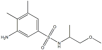 3-amino-N-(1-methoxypropan-2-yl)-4,5-dimethylbenzene-1-sulfonamide Struktur