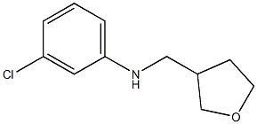 3-chloro-N-(oxolan-3-ylmethyl)aniline Struktur