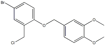 4-bromo-2-(chloromethyl)-1-[(3,4-dimethoxyphenyl)methoxy]benzene Struktur