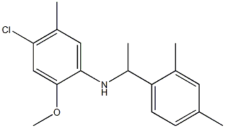 4-chloro-N-[1-(2,4-dimethylphenyl)ethyl]-2-methoxy-5-methylaniline Struktur