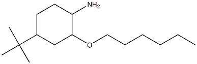 4-tert-butyl-2-(hexyloxy)cyclohexan-1-amine Struktur