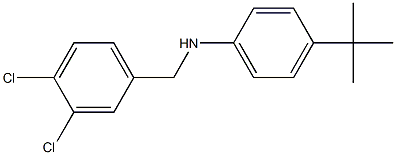 4-tert-butyl-N-[(3,4-dichlorophenyl)methyl]aniline Struktur