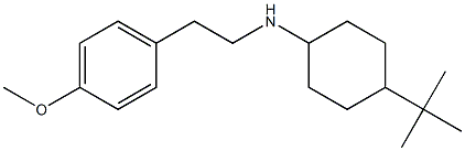 4-tert-butyl-N-[2-(4-methoxyphenyl)ethyl]cyclohexan-1-amine Struktur