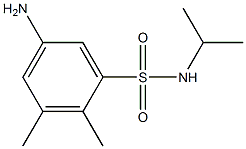 5-amino-2,3-dimethyl-N-(propan-2-yl)benzene-1-sulfonamide Struktur