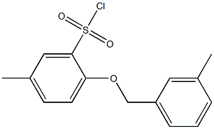 5-methyl-2-[(3-methylphenyl)methoxy]benzene-1-sulfonyl chloride Struktur