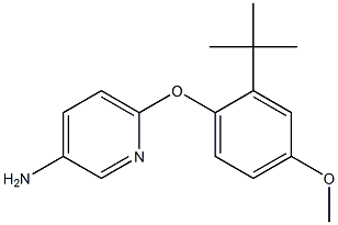 6-(2-tert-butyl-4-methoxyphenoxy)pyridin-3-amine Struktur