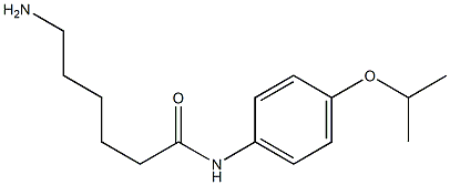 6-amino-N-[4-(propan-2-yloxy)phenyl]hexanamide Struktur