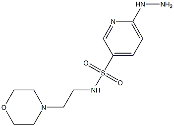 6-hydrazinyl-N-[2-(morpholin-4-yl)ethyl]pyridine-3-sulfonamide Struktur