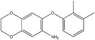 7-(2,3-dimethylphenoxy)-2,3-dihydro-1,4-benzodioxin-6-amine Struktur