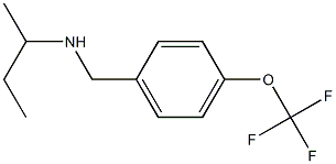 butan-2-yl({[4-(trifluoromethoxy)phenyl]methyl})amine Struktur