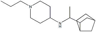 N-(1-{bicyclo[2.2.1]heptan-2-yl}ethyl)-1-propylpiperidin-4-amine Struktur