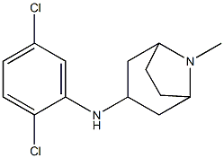 N-(2,5-dichlorophenyl)-8-methyl-8-azabicyclo[3.2.1]octan-3-amine Struktur