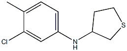 N-(3-chloro-4-methylphenyl)thiolan-3-amine Struktur