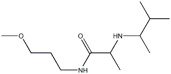 N-(3-methoxypropyl)-2-[(3-methylbutan-2-yl)amino]propanamide Struktur