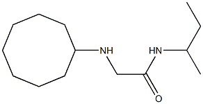 N-(butan-2-yl)-2-(cyclooctylamino)acetamide Struktur