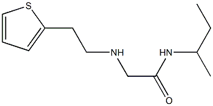 N-(butan-2-yl)-2-{[2-(thiophen-2-yl)ethyl]amino}acetamide Struktur