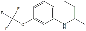 N-(butan-2-yl)-3-(trifluoromethoxy)aniline Struktur