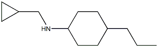 N-(cyclopropylmethyl)-4-propylcyclohexan-1-amine Struktur