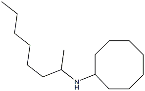 N-(octan-2-yl)cyclooctanamine Struktur